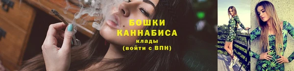 шишки Верхний Тагил