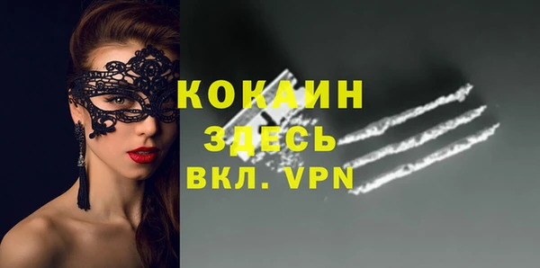 шишки Верхний Тагил