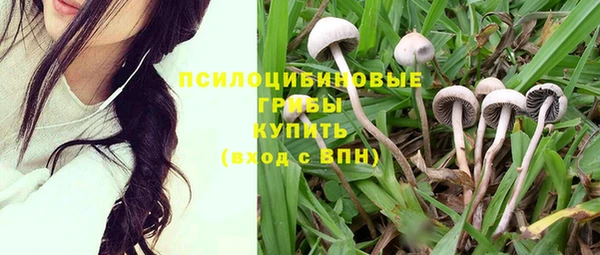 гашик Верхнеуральск