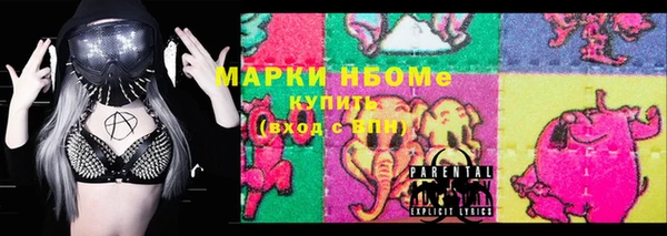 шишки Верхний Тагил