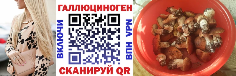 Галлюциногенные грибы Psilocybe  сколько стоит  Камешково 